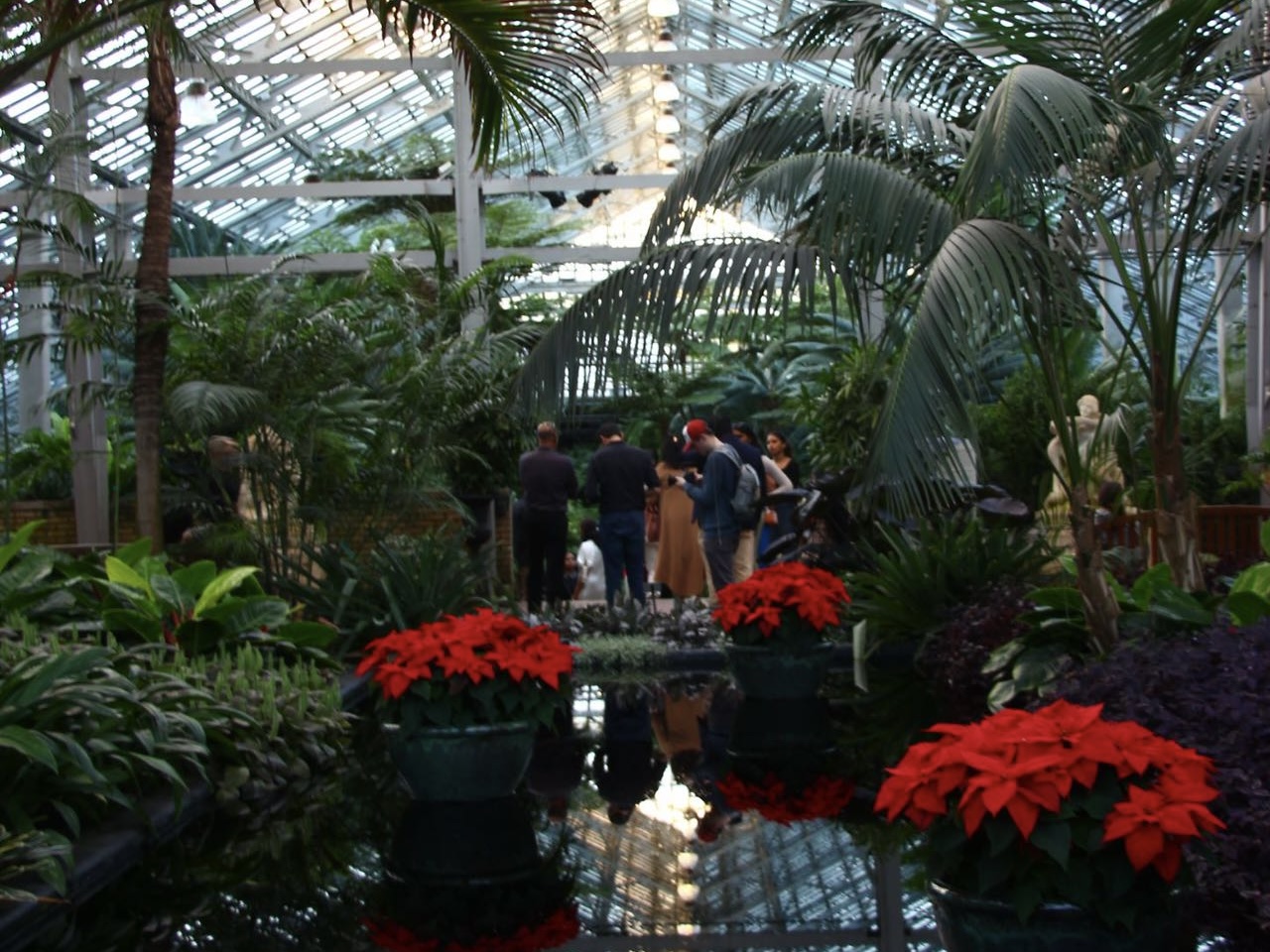 24/12/8 温室花园 @Garfield Park Conservatory